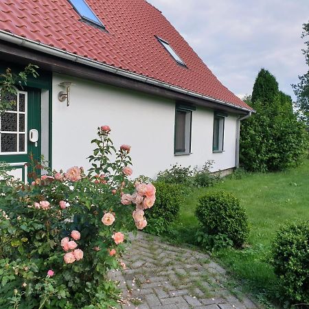 Oeko-Ferienhaus Rappin Ngoại thất bức ảnh