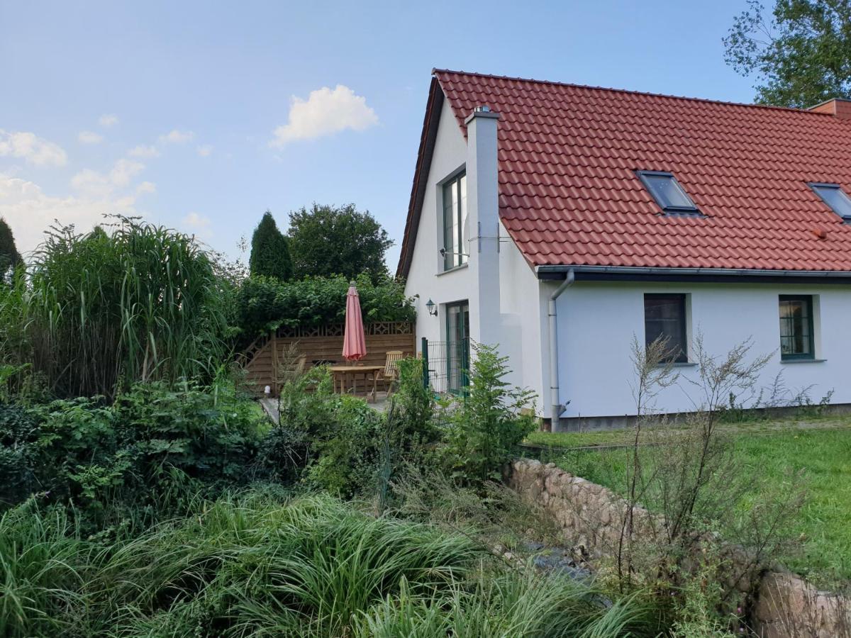 Oeko-Ferienhaus Rappin Ngoại thất bức ảnh